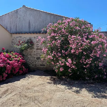 Cote&marais Jard-sur-Mer