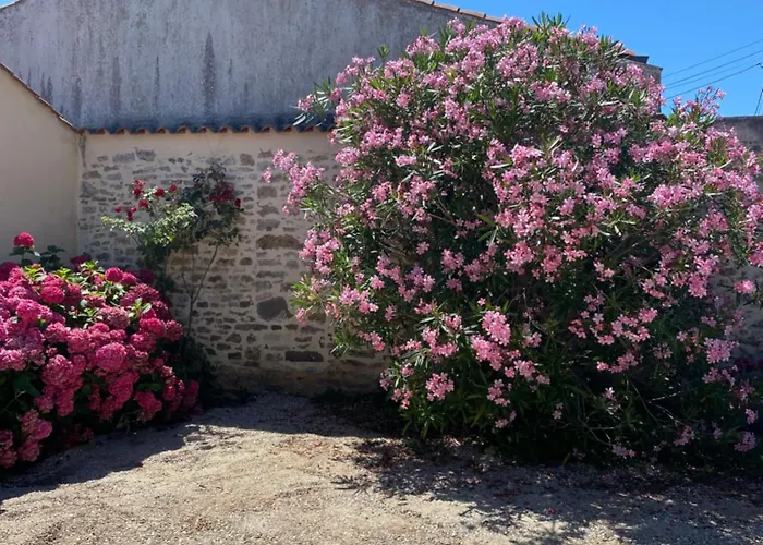Cote&marais Jard-sur-Mer
